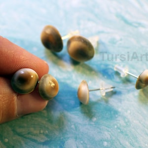 May include: A pair of brown and white shell earrings with silver posts. The earrings are shown on a blue background.