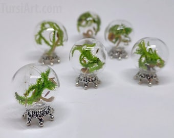 Tiny Crystal Ball. Real Golden Oyster Mushroom, moss, & lichen in glass bauble. Dollhouse Miniature or Fairy Garden trinket Curio Cabinet