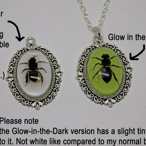 Glow in the Dark Honey Bee Pendant. Real Bug Taxidermy Necklace. Preserved Insect in Resin Jewelry. Apis mellifera Handmade Beekeeper Gift imagem 4