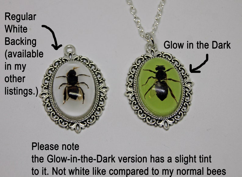 Glow in the Dark Honey Bee Pendant. Real Bug Taxidermy Necklace. Preserved Insect in Resin Jewelry. Apis mellifera Handmade Beekeeper Gift image 4