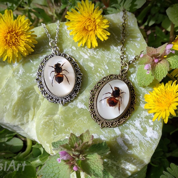 Véritable pendentif abeille. Véritable collier de taxidermie d'insectes. Insecte préservé dans des bijoux en résine. Apis mellifera Cadeau pour apiculteur fait main par TursiArt