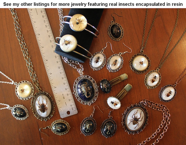REAL Ant in resin pendant chain necklace choice of brass silver copper /& clasp Taxidermy Insect jewelry Large Black Ant Army Ant Big Head