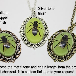 Glow in the Dark Honey Bee Pendant. Real Bug Taxidermy Necklace. Preserved Insect in Resin Jewelry. Apis mellifera Handmade Beekeeper Gift imagem 3