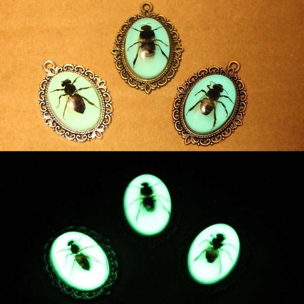 Glow in the Dark Honey Bee Pendant. Real Bug Taxidermy Necklace. Preserved Insect in Resin Jewelry. Apis mellifera Handmade Beekeeper Gift