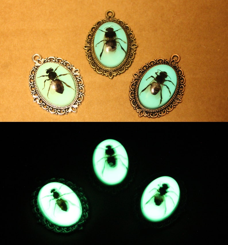 Glow in the Dark Honey Bee Pendant. Real Bug Taxidermy Necklace. Preserved Insect in Resin Jewelry. Apis mellifera Handmade Beekeeper Gift imagem 1