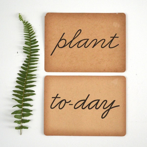 two old paper flashcards | plant today
