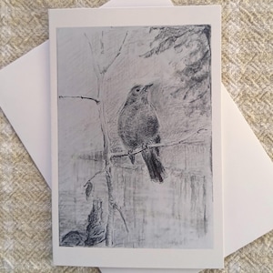 Catbird zat erboven, blanco kaart/wenskaart uit de achtertuin Birds-serie