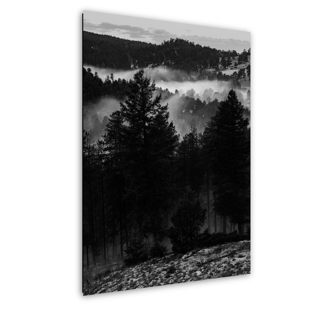 Monochrome Misty Pine Print - Moody Mountain Forest Wall Art - Etsy