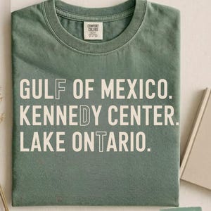 Retro FDT Lake Ontario Kennedy Center Gulf of Mexico Shirt PNG, Funny Protest Shirt, Pro-Democracy Activism Gift, Subtle FDT Shirt,