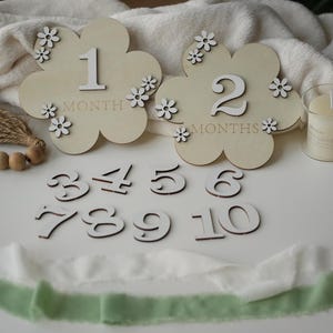 Wooden Baby Milestone Discs: Hello World Birth Announcement Photo Prop