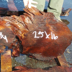 Live Edge Redwood Burl Slab | Diy | Et-07