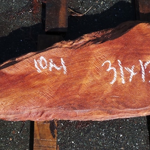 Live Edge Redwood Burl Slab | Diy | Et-11