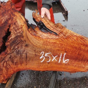 Live Edge Redwood Burl Slab | Diy | Et-19
