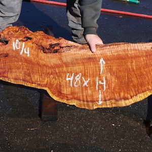 Live Edge Redwood Burl Slab | Diy | Et-28