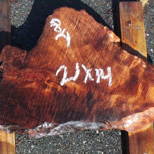 Live Edge Redwood Burl Slab | Diy | Et-02