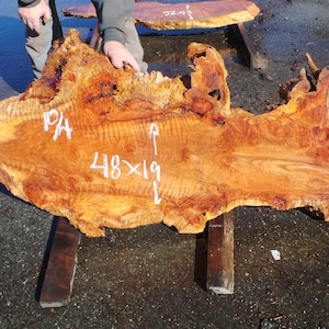 Live Edge Redwood Burl Slab | Diy | Et-25