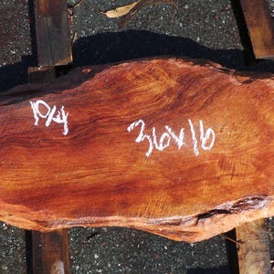 Live Edge Redwood Burl Slab | Diy | Et-08