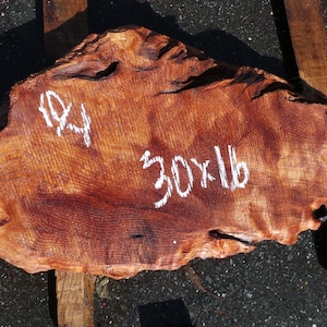 Live Edge Redwood Burl Slab | Diy | Et-12