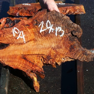 Live Edge Redwood Burl Slab | Diy | Et-33