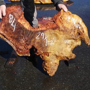 Live Edge Redwood Burl Slab | Diy | Et-27