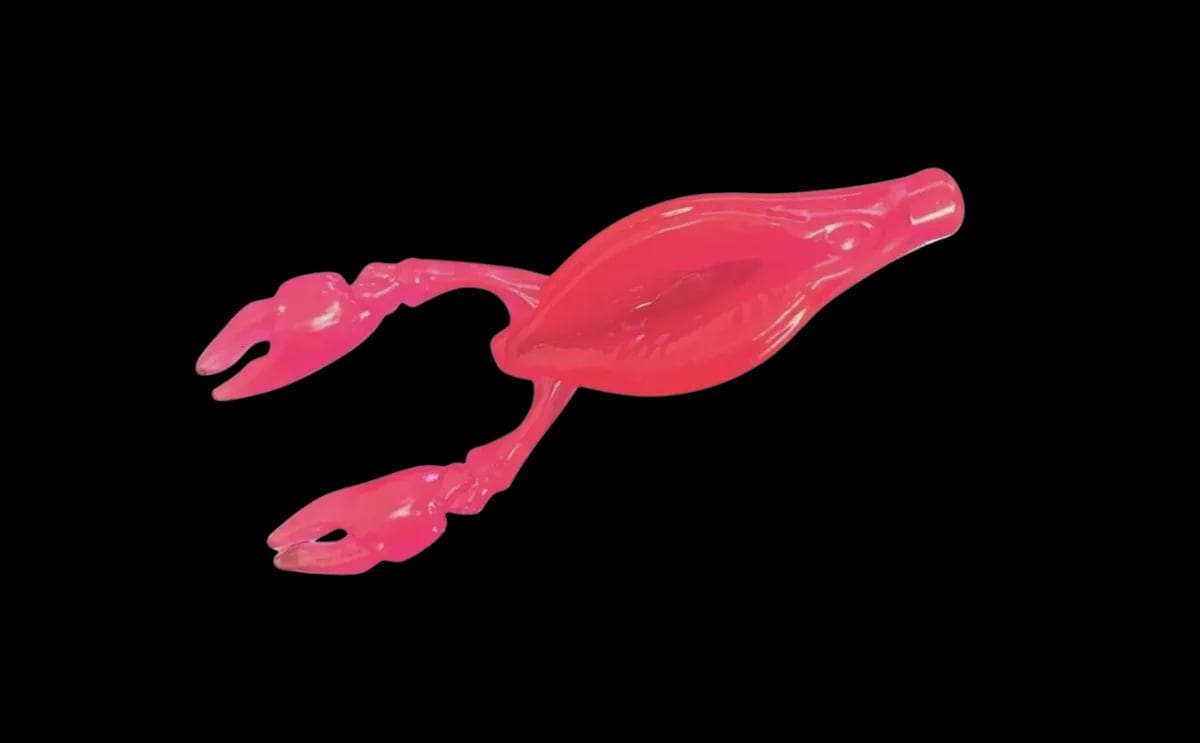 adult humor caught a pussy fish with dick lures Funny Fishing Lure That Catches Fish - Vagina Replica