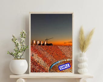 Puede incluir: Impresión enmarcada de un estadio lleno de aficionados, iluminado por las luces del estadio y una puesta de sol. La palabra "VOLS" está iluminada. Un sello azul "SAMPLE" está en la esquina inferior derecha. La imagen está en un marco de madera.