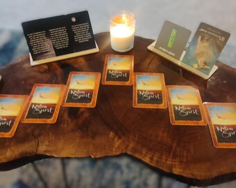 30 MIN - Soul Path Reading I Life Purpose Reading I Psychic Reading I Intuitive Reading I Unstuck Reading I Divine Guidance Reading I