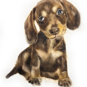 Custom Watercolor Pet Portrait: Hand-Painted Dog or Cat Memorial Art