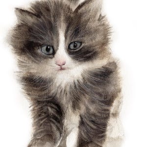 Custom Watercolor Pet Portrait: Hand-Painted Dog or Cat Memorial