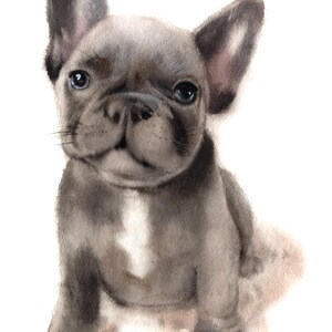 Custom Watercolor Pet Portrait: Hand-Painted Dog or Cat Memorial Art