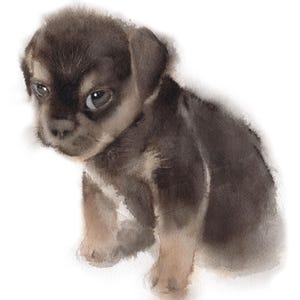Custom Watercolor Pet Portrait from Photo – Hand-Painted Style Dog or Cat Artwork – Personalized Pet Memorial Gift