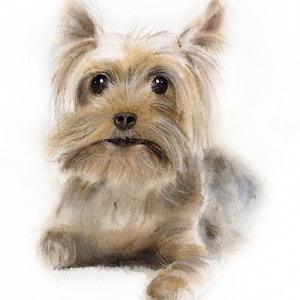 Custom Watercolor Pet Portrait: Hand-Painted Dog or Cat Memorial