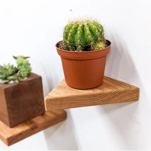 Puede incluir: Un cactus verde en una maceta marrón se encuentra sobre una estantería triangular de madera. La estantería está montada en una pared blanca. En el fondo se ve otra estantería de madera con una planta suculenta. El cactus tiene espinas afiladas.
