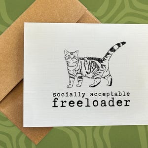May include: A greeting card with a black and white illustration of a cat, with the words "socially acceptable freeloader" printed below. The card is on a brown envelope, set against a green patterned background.