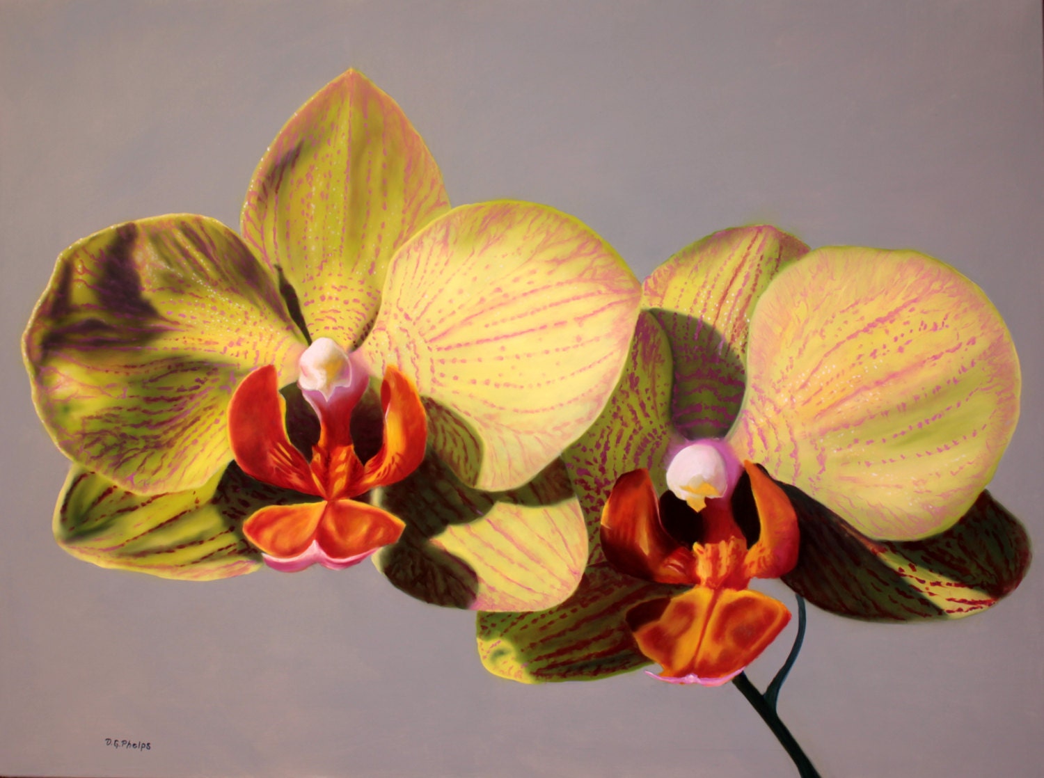 Orchid Painting yellow orchid painting orchid Etsy