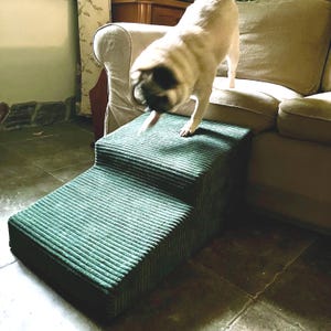 Puede incluir: Una escalera para mascotas de dos escalones en tela de pana verde azulado. Un perro carlino de color claro está de pie en el escalón superior, preparándose para saltar a un sofá beige. Las escaleras están diseñadas para ayudar a las mascotas a acceder a los muebles.