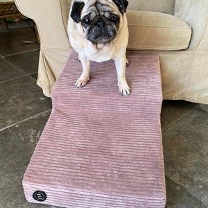 dog steps or ramp/2 two steps/for little dog/ getting on the couch/ dog and cat stairs for bed/