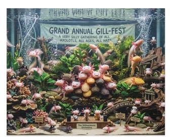 Grand Annual Gill-Fest Axolotl Puzzle | Funny Aquarium Art | 500 Pieces