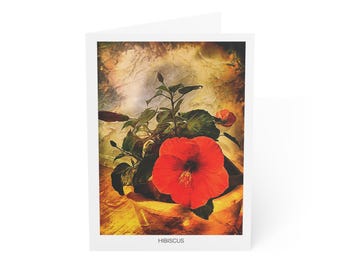 Hibiscus Flower Greeting Card | Vibrant Botanical Art | Blank Inside | Single Card