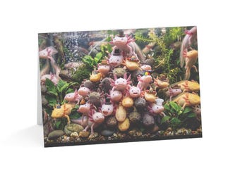 Axolotl Party Greeting Card | Funny Aquarium Animal Art | Blank Inside | Single Card
