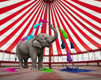 Circus Elephant Painter: spuit met verf in plaats van water. 5 verschillende T-shirt-graphics