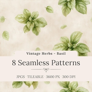 Può includere: Illustrazione ad acquerello di foglie di basilico su sfondo beige. L'immagine presenta il testo "Vintage Herbs - Basil" e "8 Seamless Patterns". L'immagine include anche il testo "JPGS . TILEABLE . 3600 PX . 300 DPI".