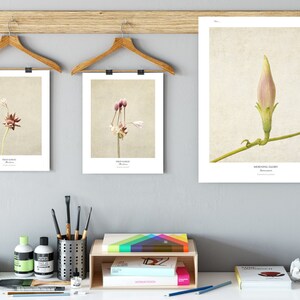 Flower Poster Modern Farmhouse Wall Decor Still Life Photography Art Print Botanical Art Gift for Her Country Kitchen Wall Decor image 4