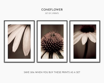 SAVE 30% 3 Piece Wall Art - Black & White Photography Triptych - Set of 3 Flower Art Prints - Living Room Wall Decor - Gift for Women