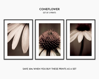 Black and White Coneflower Wall Art - Set of 3 Floral Prints