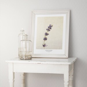 Lavender Flower Poster Modern Farmhouse Wall Decor Still Life Photography Art Print Kitchen Wall Art Gift for Her image 6