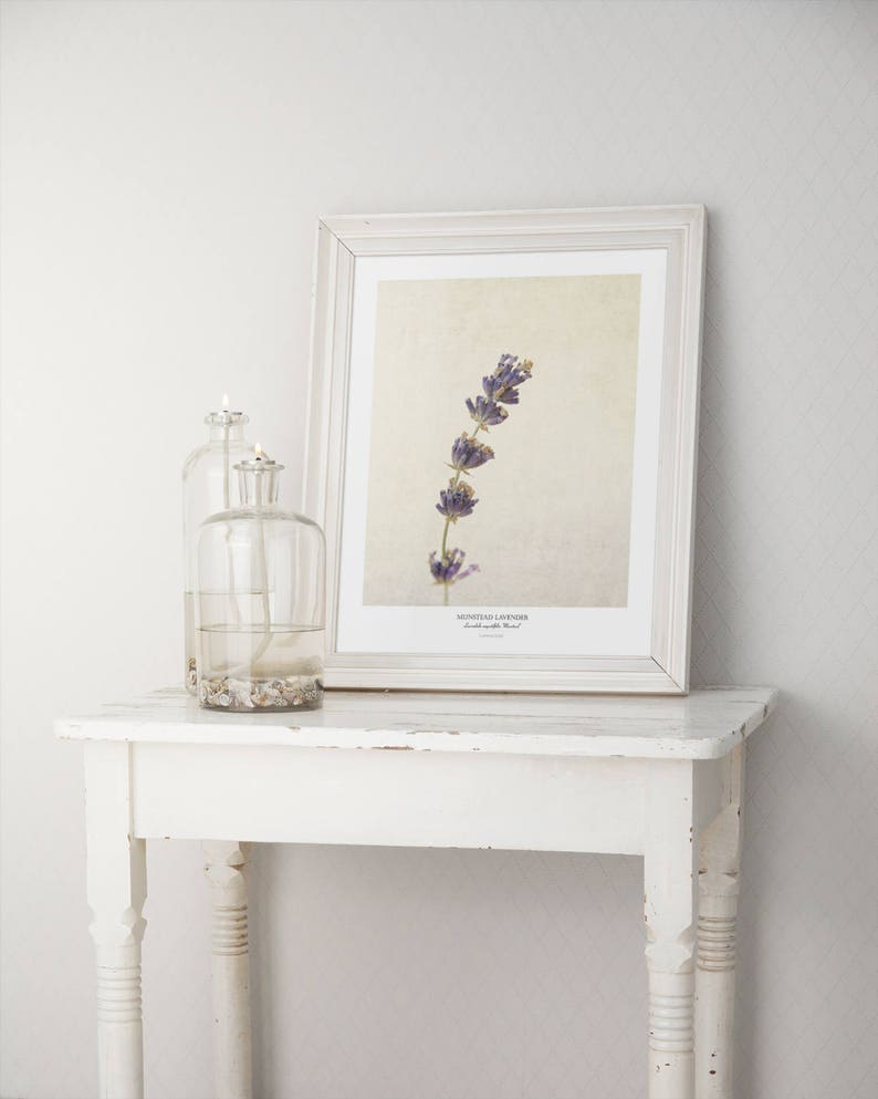 Lavender Flower Poster Modern Farmhouse Wall Decor Still Life Photography Art Print Kitchen Wall Art Gift for Her image 6