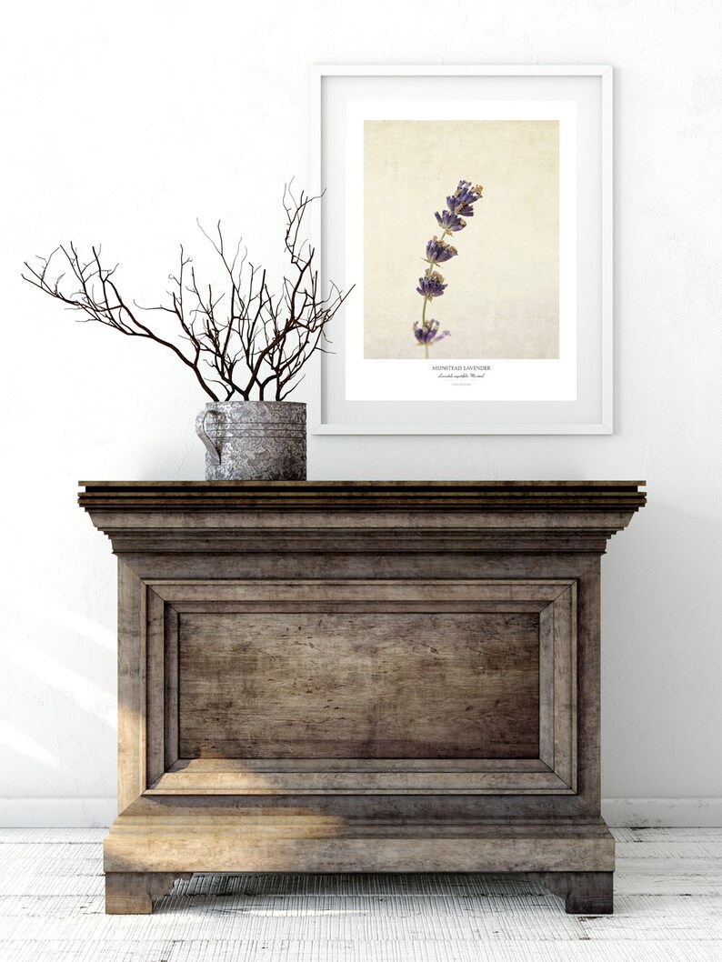 Lavender Flower Poster Modern Farmhouse Wall Decor Still Life Photography Art Print Kitchen Wall Art Gift for Her image 2