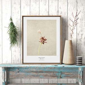 Flower Poster Modern Farmhouse Wall Decor Still Life Photography Art Print Botanical Art Gift for Her Country Kitchen Wall Decor image 5