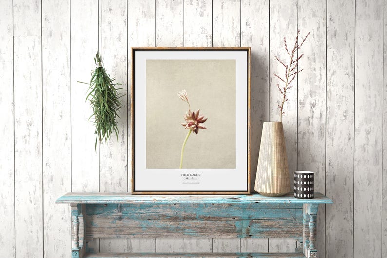 Flower Poster Modern Farmhouse Wall Decor Still Life Photography Art Print Botanical Art Gift for Her Country Kitchen Wall Decor image 5